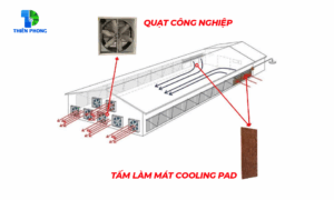 Nguyên lý hoạt động của hệ thống làm mát Cooling Pad